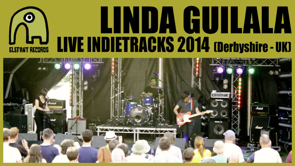 Imagen destacada de video: Concierto Indietracks 2014 [Playlist]